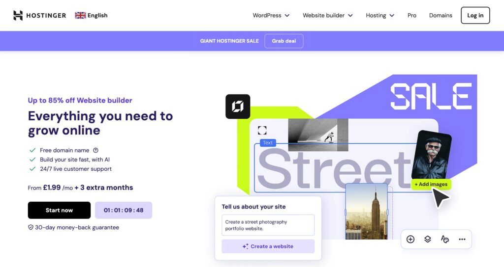 Hostinger homepage