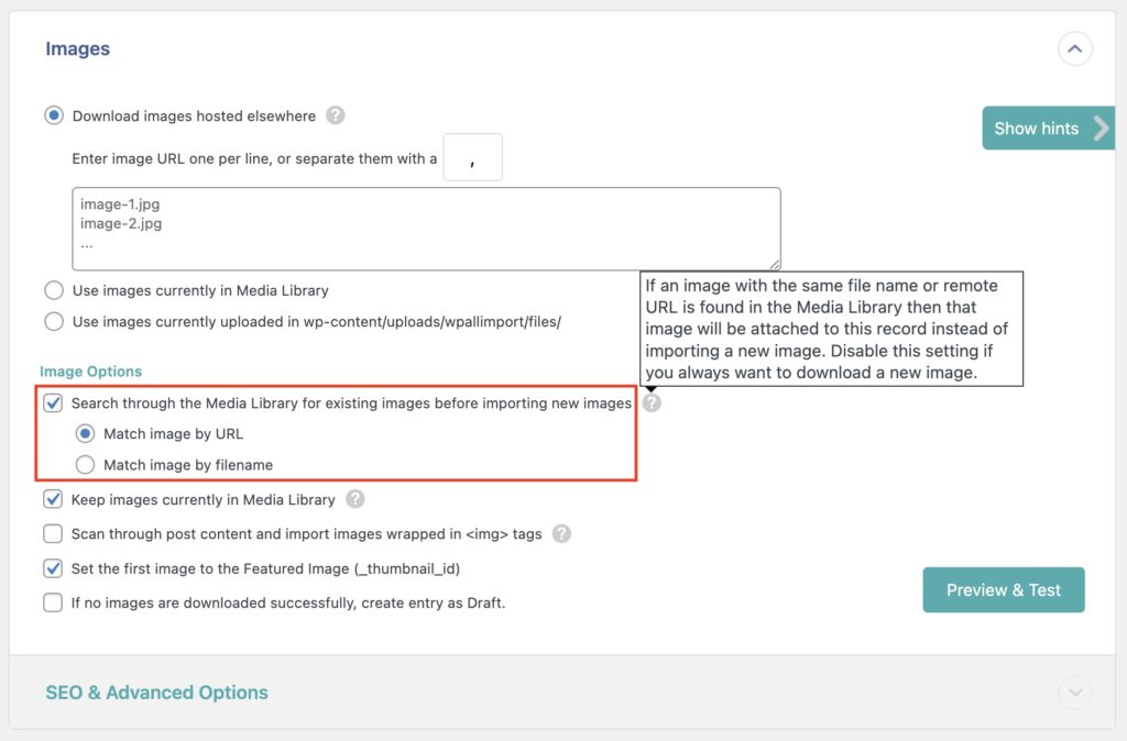 Image Options Search Through the Media Library