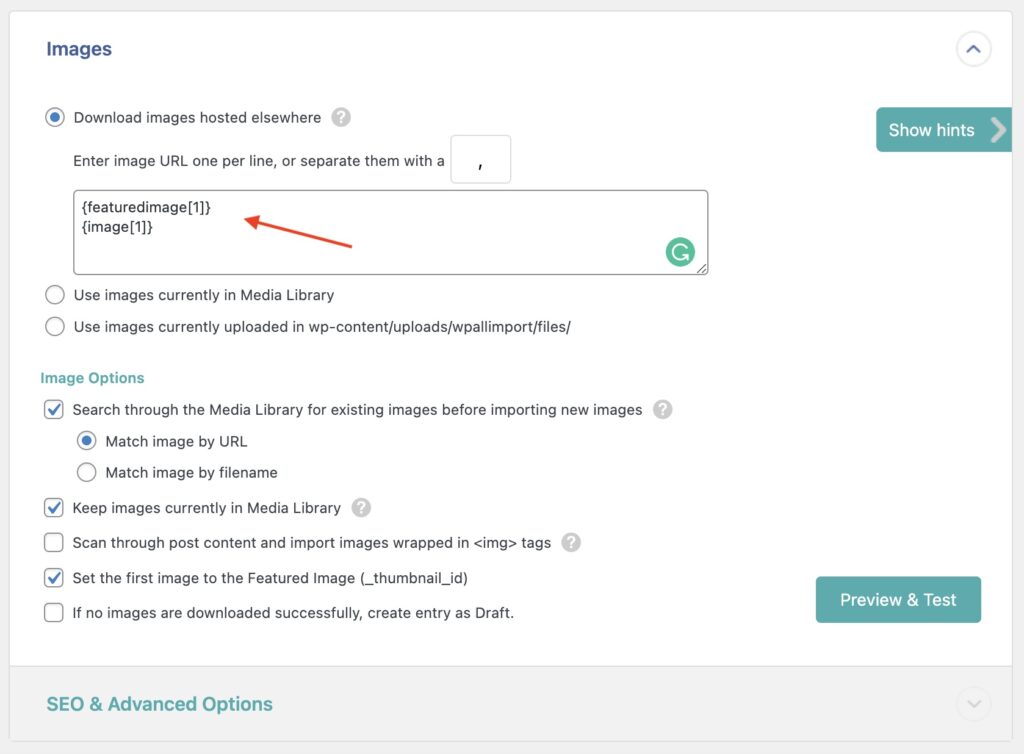 Import WordPress Posts with Images Images Section