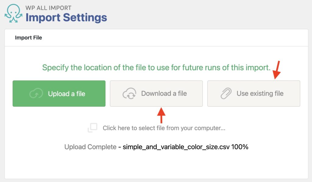 Update Import File in Import Settings WP All Import