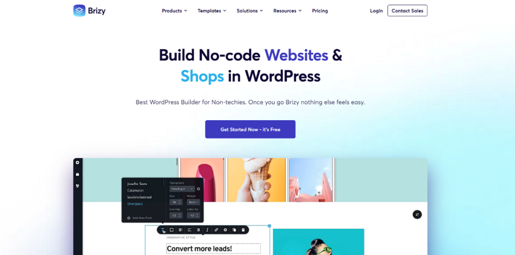 Brizy WordPress landing page builder